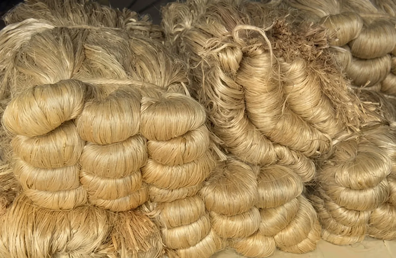 Jute Fibre — 03