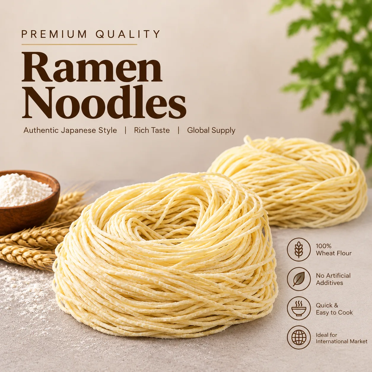 Ramen Noodles